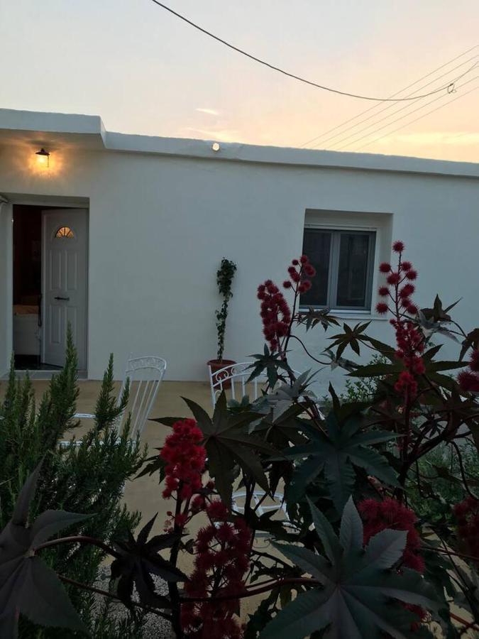 T&t House Holiday home *